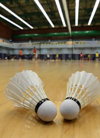 Badminton Court Flooring In Amaravati